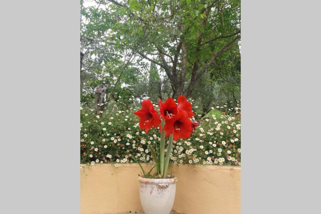 Poggio House, Tranquillita E Comfort Nella Natura ซานกัสชาโน อิน วัลดีเปซา ภายนอก รูปภาพ