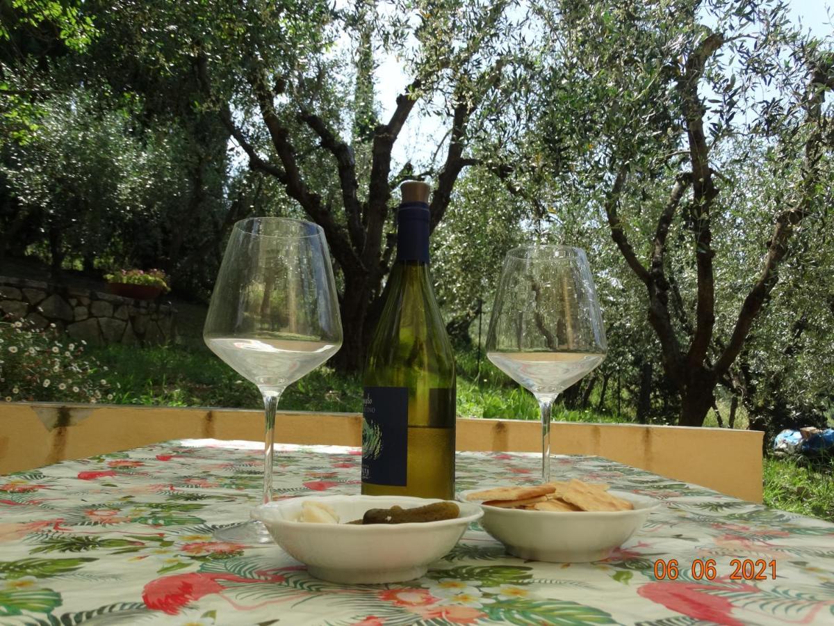 Poggio House, Tranquillita E Comfort Nella Natura ซานกัสชาโน อิน วัลดีเปซา ภายนอก รูปภาพ