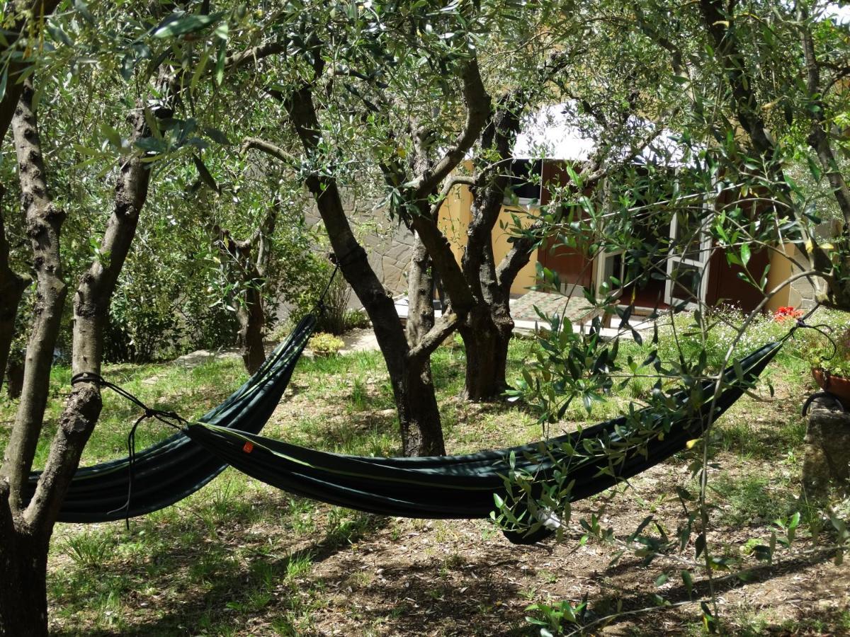 Poggio House, Tranquillita E Comfort Nella Natura ซานกัสชาโน อิน วัลดีเปซา ภายนอก รูปภาพ