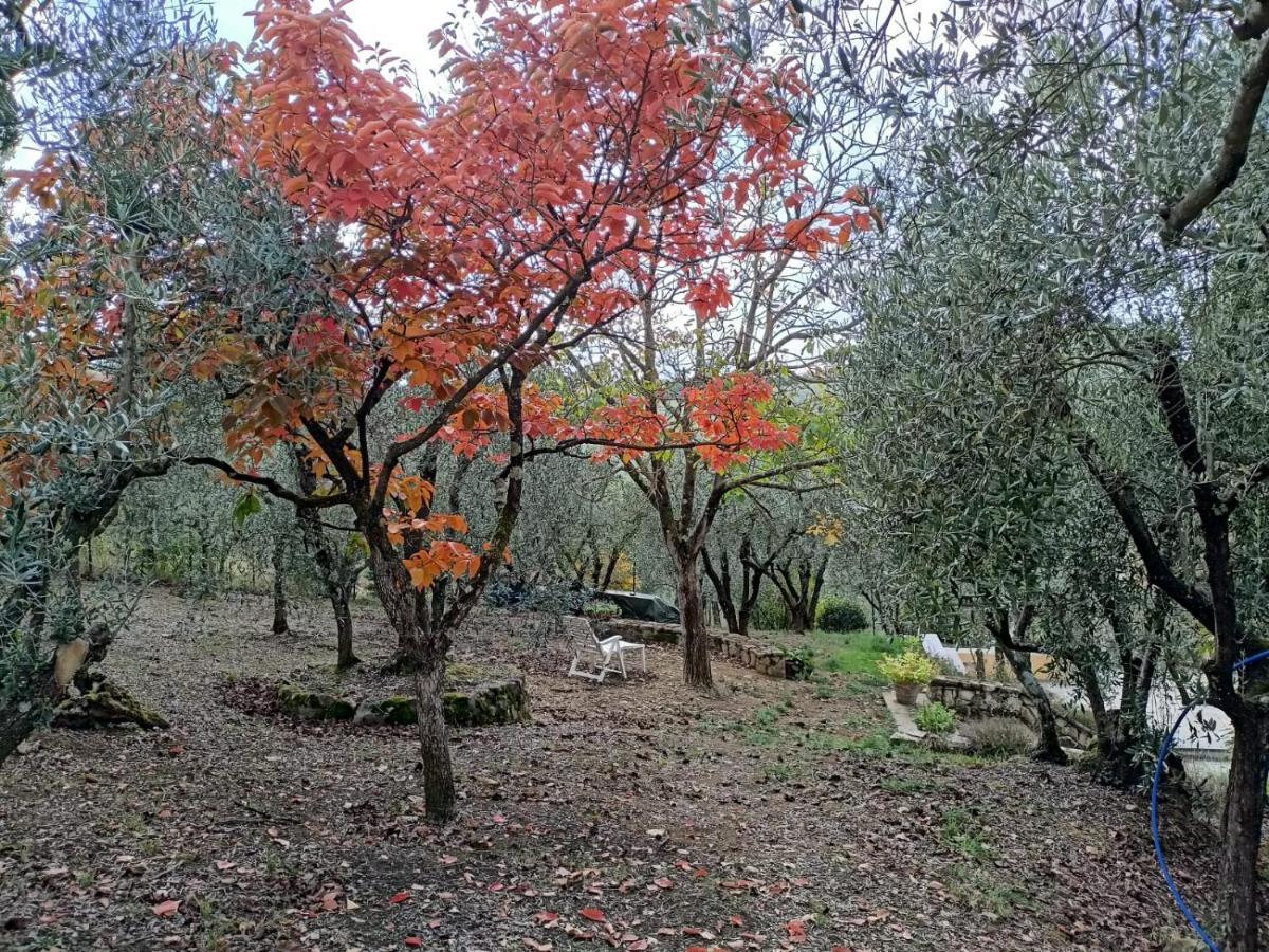 Poggio House, Tranquillita E Comfort Nella Natura ซานกัสชาโน อิน วัลดีเปซา ภายนอก รูปภาพ