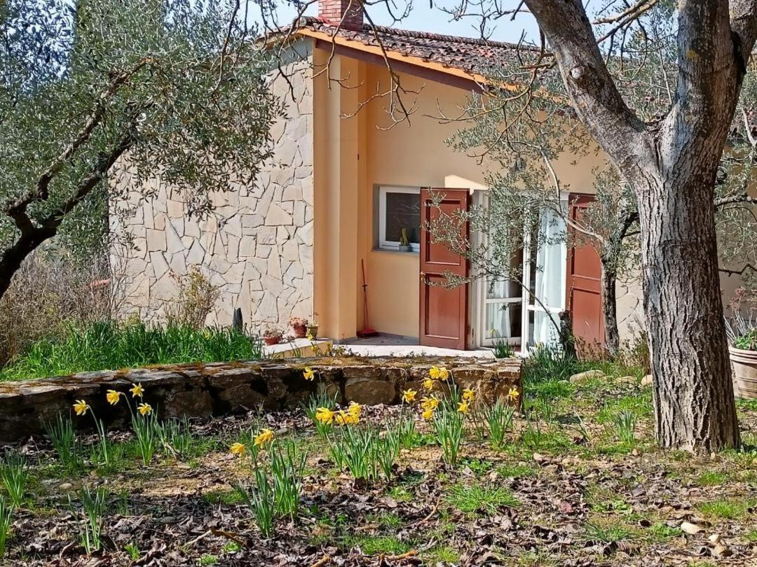 Poggio House, Tranquillita E Comfort Nella Natura ซานกัสชาโน อิน วัลดีเปซา ภายนอก รูปภาพ