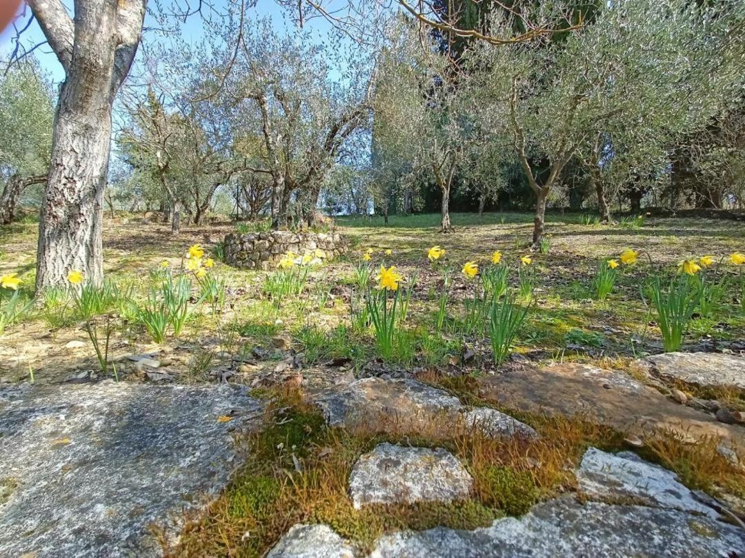 Poggio House, Tranquillita E Comfort Nella Natura ซานกัสชาโน อิน วัลดีเปซา ภายนอก รูปภาพ