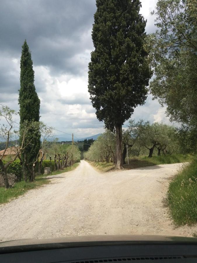Poggio House, Tranquillita E Comfort Nella Natura ซานกัสชาโน อิน วัลดีเปซา ภายนอก รูปภาพ